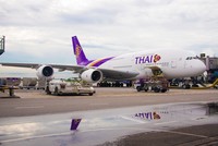 Đội bay của Thai Airways được đánh giá là "cũ kỹ, thiếu hiệu quả và tốn kém". Ảnh: TTG.