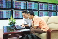 Việt Nam đã có kinh nghiệm chống chọi với các cú sốc kinh tế, bao gồm cả cú sốc về bất động sản, thị trường chứng khoán và thị trường tài chính nói chung