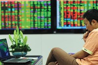 VIG: Xuất hiện cổ đông lớn cá nhân