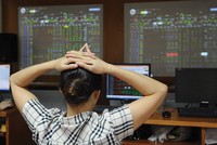 Mùa báo cáo bán niên quan trọng sắp diễn ra được kỳ vọng sẽ hỗ trợ cho thị trường