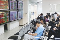 Hiệu ứng giá thấp sẽ hấp dẫn nhà đầu tư