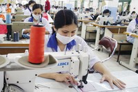 Xuất khẩu đóng góp không nhỏ vào tăng trưởng kinh tế, nhưng nền sản xuất của Việt Nam dựa nhiều vào nhập khẩu nguyên vật liệu và máy móc, thiết bị 