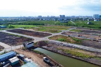 Một lượng lớn đất nông nghiệp bạc màu sẽ được TP.HCM chuyển đổi mục đích sử dụng