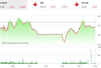 Phiên chiều 24/7: Cặp đôi cổ phiếu của bầu Đức HAG và HNG nổi sóng