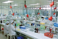 Dược Hậu Giang: Sức mạnh từ nguồn nhân lực