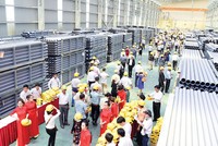 Tập đoàn Hoa Sen có thể cải thiện lợi nhuận trong nửa cuối năm nhờ bán Cảng quốc tế Hoa Sen Gemadept