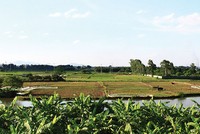 Duyệt Quy hoạch chi tiết khu đất đấu giá xã Vạn Điểm, huyện Thường Tín, Hà Nội