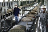 Doanh nghiệp vật liệu xây dựng: Ông lớn đi lùi