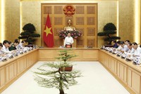 Chuyên nghiệp hóa hoạt động thoái vốn nhà nước để tối đa hóa hiệu quả