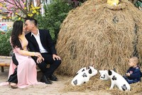 Theo PTI, bảo hiểm tình yêu có thể coi là sản phẩm bảo hiểm thuộc dòng bảo hiểm trách nhiệm.