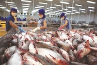 Hiệp định EVFTA khi có hiệu lực sẽ mở cánh cửa rộng lớn để doanh nghiệp hai bên phát huy tiềm năng hợp tác to lớn, trong đó, các ngành hàng xuất khẩu của Việt Nam có cơ hội gia tăng xuất khẩu mạnh mẽ vào EU.