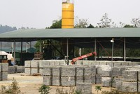 Ảnh: Thành Nguyễn