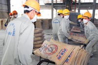 Tính đến thời điểm này, sản lượng xuất khẩu xi măng đã về đích sớm, thậm chí vượt so với kế hoạch cả năm 2018.