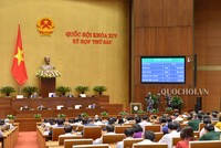 Quốc hội thông qua Nghị quyết về phân bổ ngân sách trung ương năm 2019 (Ảnh: Quốc hội)