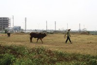 Gỡ vướng một số quy định về đất đai