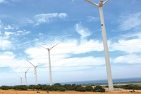 Điện gió vào “tầm ngắm” của nhà đầu tư