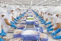 Xuất khẩu nông sản Việt Nam đã có có thành tích ấn tượng năm 2018