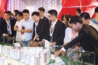 Diamond Brilliant được thị trường đón nhận