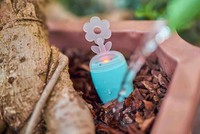 PlantRay : Thiết bị thông báo khi cây cần được tưới nước