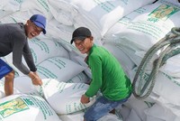 Nghị định 107/2018/NĐ-CP về kinh doanh xuất khẩu gạo không bắt doanh nghiệp phải sở hữu kho chứa, cơ sơ xay xát mới được xuất khẩu gạo. Ảnh: Đức Thanh