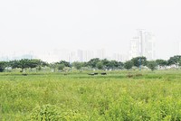 TP.HCM gặp khó với bài toán thu hồi dự án treo