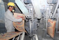 Tối ưu hóa dây chuyền công nghệ để nâng cao hiệu suất là một trong giải pháp để doanh nghiệp xi măng duy trì tăng trưởng.