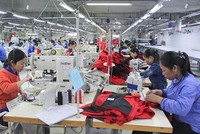 Tổng số doanh nghiệp trên địa bàn tỉnh Quảng Trị tính đến thời điểm hiện tại hơn 3.400 doanh nghiệp.