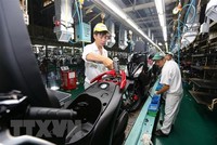 Dây chuyền lắp ráp xe ôtô tại Công ty Honda Việt Nam tại Vĩnh Phúc. (Ảnh: Danh Lam/TTXVN)