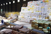 Xuất khẩu gạo đang được đề nghị loại bỏ khỏi danh mục ngành, nghề kinh doanh có điều kiện. Ảnh: Đức Thanh