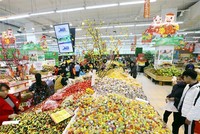 Mức tăng 9,4% (đã loại trừ yếu tố giá) của tổng mức bán lẻ hàng hóa và doanh thu dịch vụ tiêu dùng trong tháng 1 phần nào cho thấy sự khởi sắc của nền kinh tế. Ảnh: Đ.T