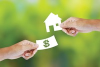 Netland muốn huy động 90 tỷ đồng qua phát hành cổ phiếu