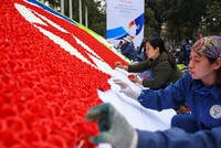 Việt Nam chuẩn bị cho Hội nghị Thượng đỉnh Mỹ - Triều