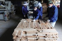 Ngành gỗ Việt Nam đạt giá trị xuất khẩu cao trong năm 2018