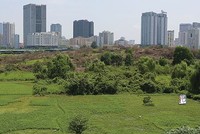 Sắp ban hành quy định mới về mua, bán và xử lý nợ xấu của VAMC