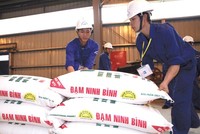 Nhà máy Đạm Ninh Bình hiện đang hoạt động được là do khách hàng ứng trước tiền. Ảnh: Đức Thanh
