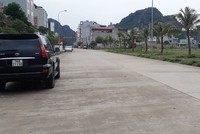 Năm 2019 tâm điểm vẫn là đất nền