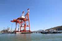 Cảng Quy Nhơn - Ảnh: MINH THÀNH