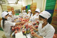 Nếu cơ chế đảm bảo thực thi pháp lý được tăng cường, sẽ có thêm nhiều doanh nghiệp Việt sẵn sàng mở rộng hợp tác ra quốc tế.