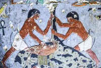 Hé lộ những hình ảnh gây sửng sốt trong mộ cổ Ai Cập 4.300 năm tuổi