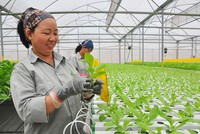 Việt Nam coi người dân và doanh nghiệp là trung tâm của hội nhập quốc tế.