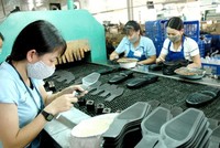 Đại diện Lefaso cho biết, ngành da giày vẫn gặp khó khăn lớn bởi chưa chủ động được nguồn cung ứng da nguyên liệu, do phụ thuộc nhập khẩu.