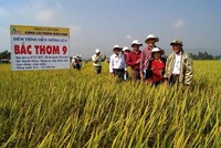 Việc doanh nghiệp thực hiện chính sách bán chịu tuy có tác dụng kích thích khách hàng mua hàng nhiều hơn, nhưng đi kèm với đó là rủi ro phát sinh nợ xấu.