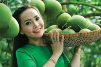 Nông nghiệp công nghệ cao có sức hút với nhiều doanh nghiệp bất động sản trên con đường hướng tới đầu tư đa ngành. Ảnh: Lê Toàn