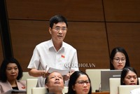 Đại biểu Hoàng Quang Hàm tại phiên thảo luận sáng 30/5