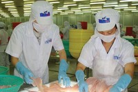 Việc bị áp mức thuế chống bán phá giá cao nhất trong nhóm các doanh nghiệp thủy sản sau đợt POR 14 trong bối cảnh tình hình tài chính chưa được cải thiện, khiến CTCP Hùng Vương đã khó càng thêm khó.