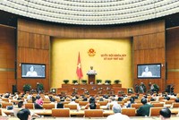 Các đại biểu Quốc hội thảo luận tại hội trường sáng 30/5. Ảnh: Ngọc Thắng