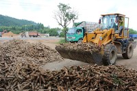 Xuất khẩu sắn và các sản phẩm từ sắn 5 tháng 2019 ước đạt 414 triệu USD, giảm 17,6 % về khối lượng và giảm 11% so với cùng kỳ năm 2018.