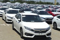 Chi nhập khẩu ô tô nguyên chiếc trong 5 tháng lớn hơn tiền bán gần 800.000 tấn cà phê