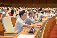 Các đại biểu nhấn nút thông qua Nghị quyết