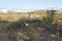 Dự án Khu dân cư 10 tại huyện Bến Lức được bán khi thị trường nóng sốt nhưng không có người ở. Ảnh: G.H